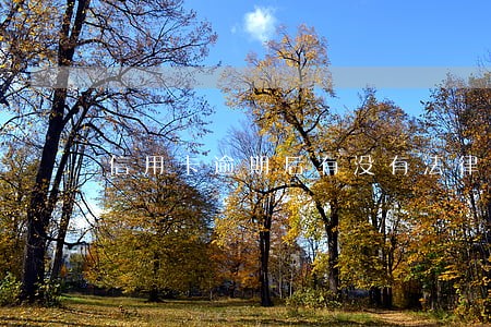 信用卡逾期后有没有法律责任 信用卡逾期后有没有法律责任