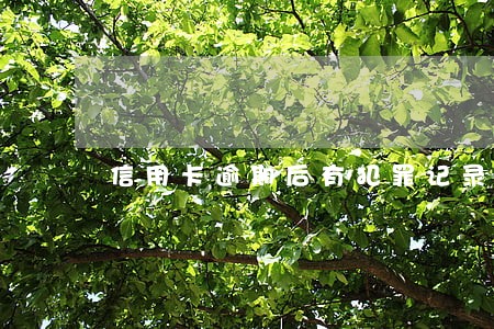 信用卡逾期后有犯罪记录 信用卡逾期后有犯罪记录
