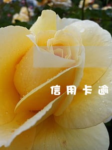 信用卡逾期后有还款还算恶意吗