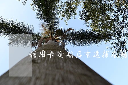 信用卡逾期后有逮捕令吗
