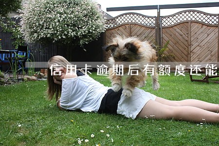 信用卡逾期后有额度还能刷吗 信用卡逾期后有额度还能刷吗