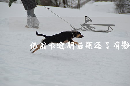 信用卡逾期后期还了有影响吗 信用卡逾期后期还了有影响吗