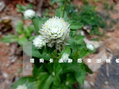 信用卡逾期后未出账单 信用卡逾期后未出账单