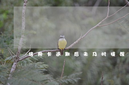 信用卡逾期后未及时提醒 信用卡逾期后未及时提醒