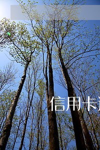 信用卡逾期后本金会涨吗 信用卡逾期后本金会涨吗