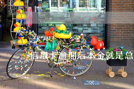 信用卡逾期后本金就是总账单吗