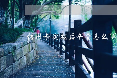 信用卡逾期后本金怎么算合法 信用卡逾期后本金怎么算合法