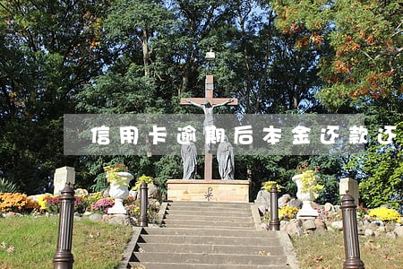 信用卡逾期后本金还款还是利息 信用卡逾期后本金还款还是利息