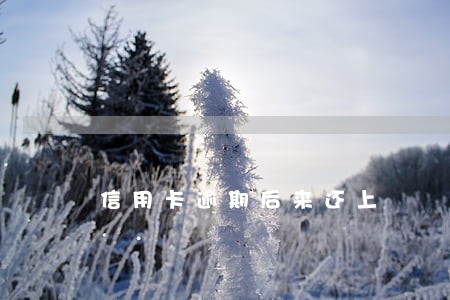 信用卡逾期后来还上 信用卡逾期后来还上