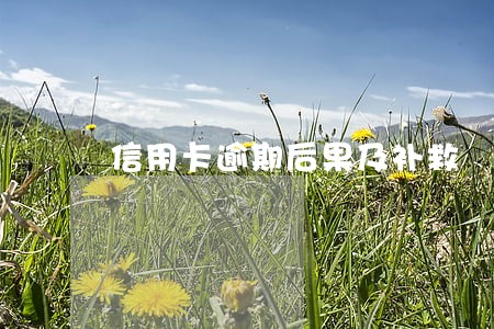 信用卡逾期后果及补救 信用卡逾期后果及补救