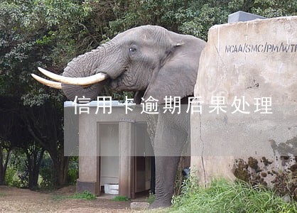 信用卡逾期后果处理 信用卡逾期后果处理