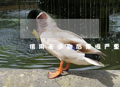 信用卡逾期后果很严重上海 信用卡逾期后果很严重上海