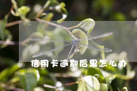信用卡逾期后果怎么办