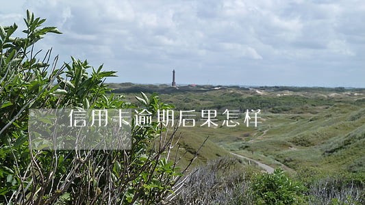 信用卡逾期后果怎样 信用卡逾期后果怎样