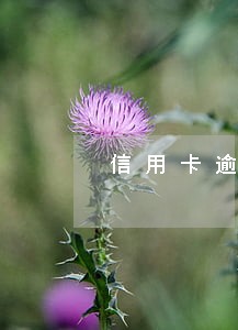 信用卡逾期后果流程 信用卡逾期后果流程