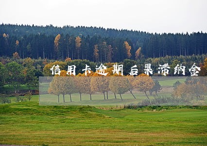 信用卡逾期后果滞纳金