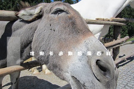 信用卡逾期后果百科 信用卡逾期后果百科