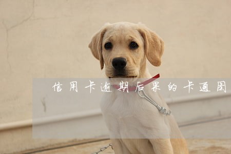 信用卡逾期后果的卡通图片 信用卡逾期后果的卡通图片