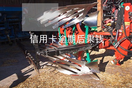 信用卡逾期后果钱