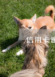 信用卡逾期后欠款清零了