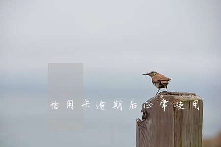 信用卡逾期后正常使用 信用卡逾期后正常使用