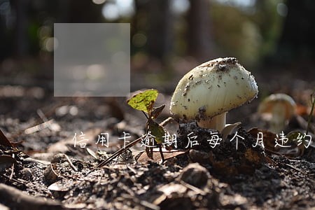信用卡逾期后每个月违约金 信用卡逾期后每个月违约金