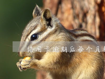 信用卡逾期后每个月都有还一点 信用卡逾期后每个月都有还一点