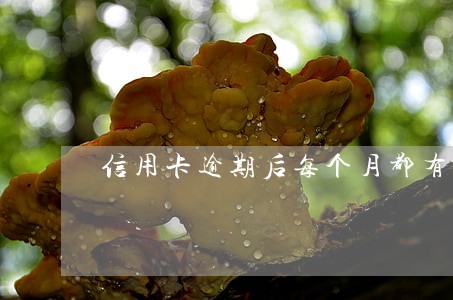 信用卡逾期后每个月都有还款
