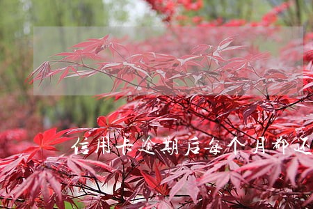 信用卡逾期后每个月都还够最低 信用卡逾期后每个月都还够最低