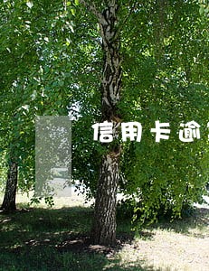 信用卡逾期后每天收到短信怎么办 信用卡逾期后每天收到短信怎么办