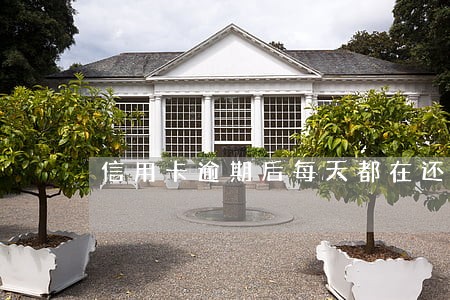 信用卡逾期后每天都在还 信用卡逾期后每天都在还