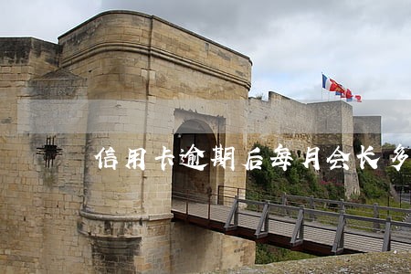 信用卡逾期后每月会长多少 信用卡逾期后每月会长多少