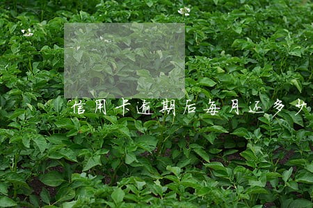 信用卡逾期后每月还多少费用 信用卡逾期后每月还多少费用