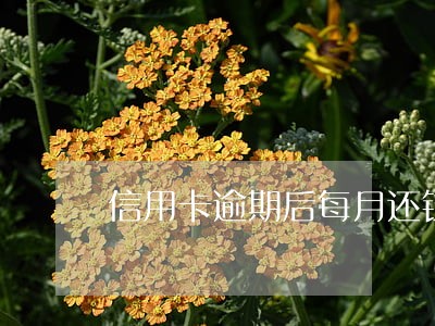信用卡逾期后每月还钱会怎么样 信用卡逾期后每月还钱会怎么样