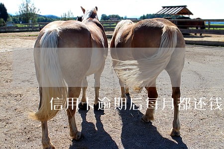 信用卡逾期后每月都还钱 信用卡逾期后每月都还钱