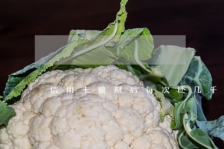 信用卡逾期后每次还几千