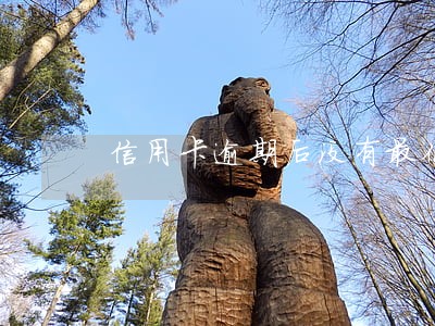 信用卡逾期后没有最低还款了 信用卡逾期后没有最低还款了