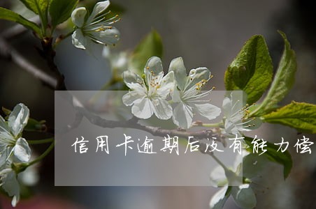 信用卡逾期后没有能力偿还全额 信用卡逾期后没有能力偿还全额