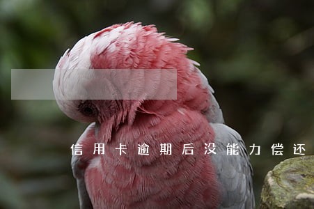 信用卡逾期后没能力偿还