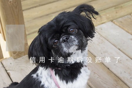 信用卡逾期后没账单了 信用卡逾期后没账单了