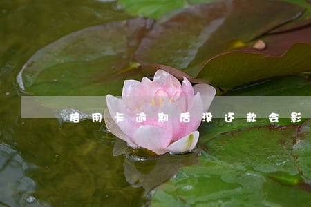 信用卡逾期后没还款会影响征信 信用卡逾期后没还款会影响征信