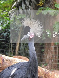 信用卡逾期后没还清 信用卡逾期后没还清