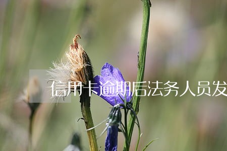 信用卡逾期后法务人员发短信 信用卡逾期后法务人员发短信