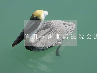 信用卡逾期后法院会冻结吗 信用卡逾期后法院会冻结吗
