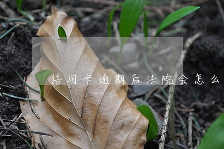 信用卡逾期后法院会怎么走 信用卡逾期后法院会怎么走