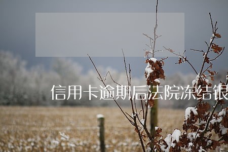 信用卡逾期后法院冻结银行卡 信用卡逾期后法院冻结银行卡