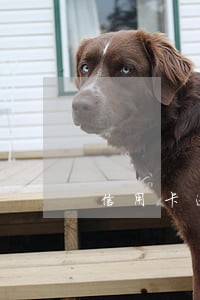 信用卡逾期后注销了怎么办 信用卡逾期后注销了怎么办