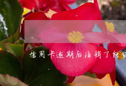 信用卡逾期后注销了能贷款吗