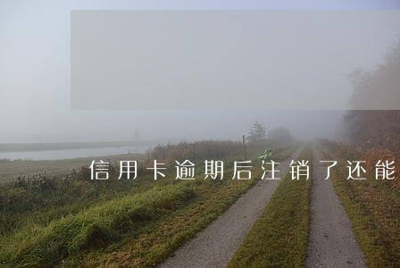 信用卡逾期后注销了还能申请 信用卡逾期后注销了还能申请