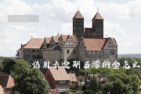 信用卡逾期后滞纳金怎么计算 信用卡逾期后滞纳金怎么计算